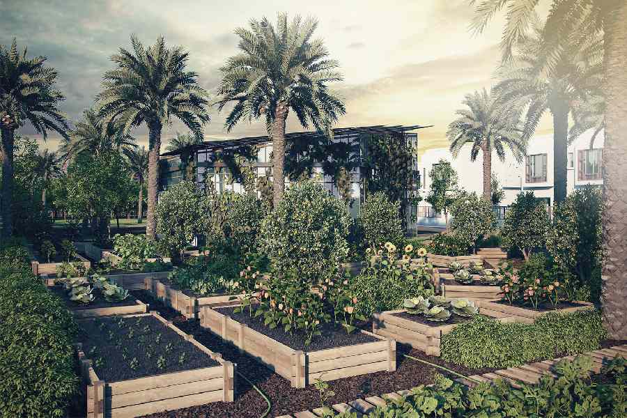 Sharjah Sustainable City - Um Fannain Sharjah.