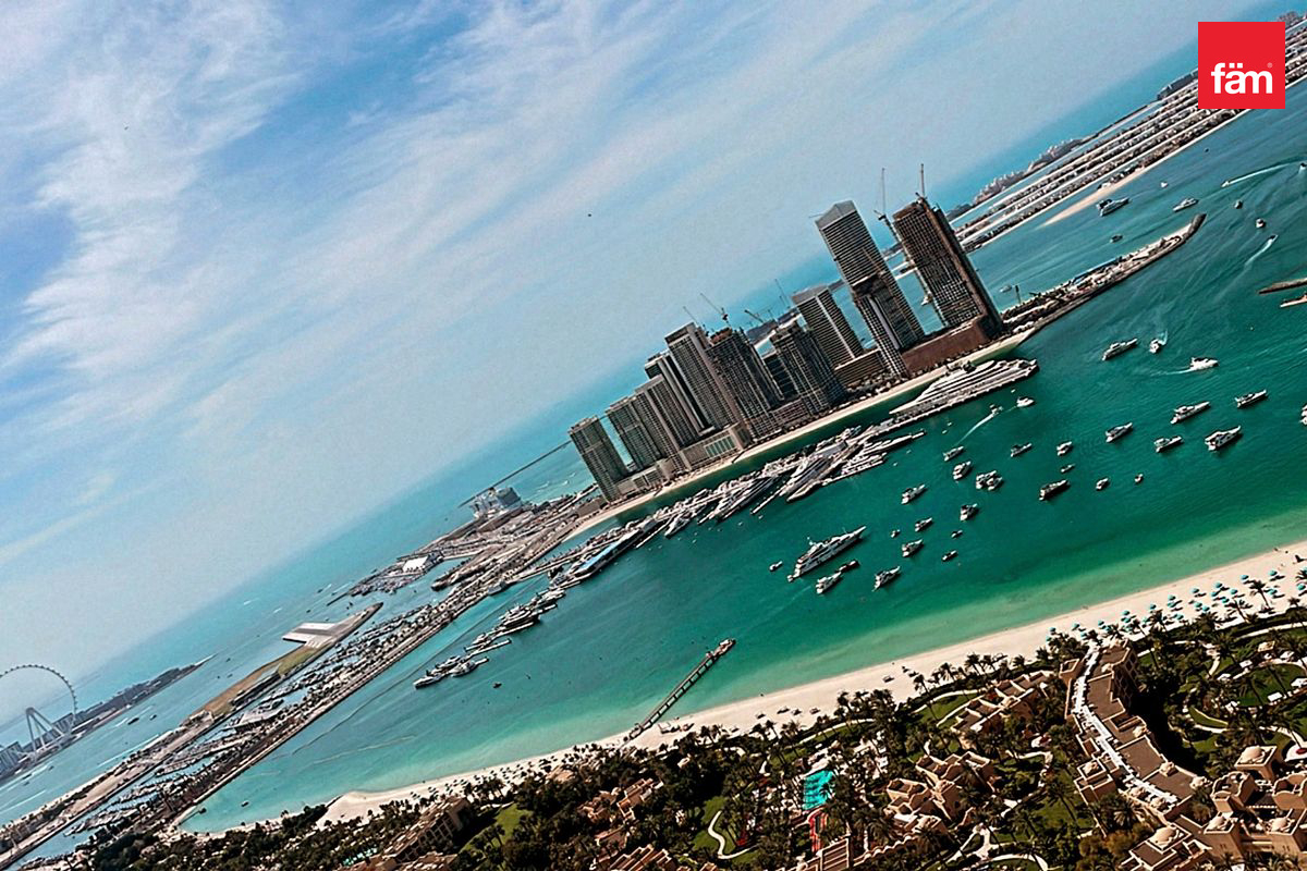 Fully Furnished Sea & Palm View-3