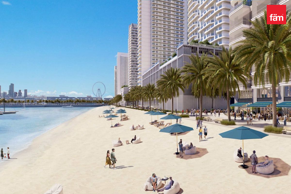 50/50 PP | Palm View | Multiple Options Available-8