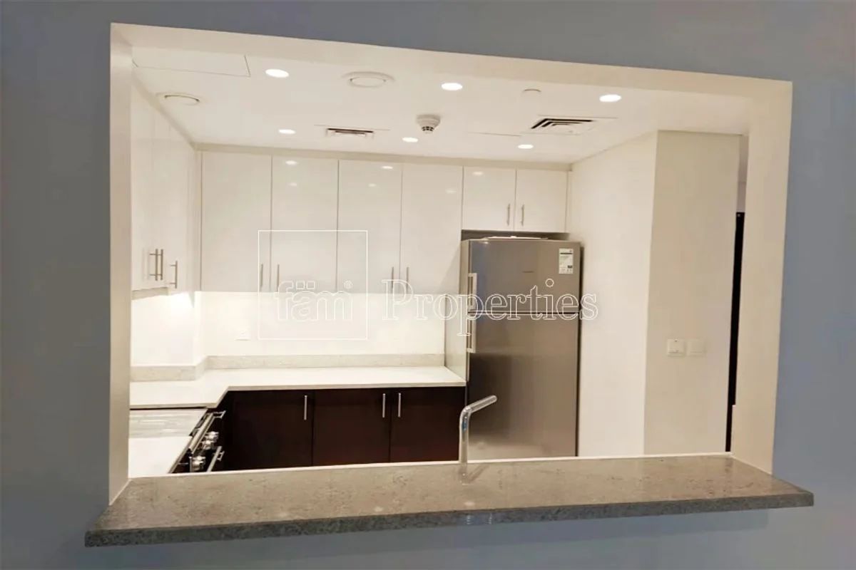 Stunning Apartment/ Motivated Seller/Amazing pric-8