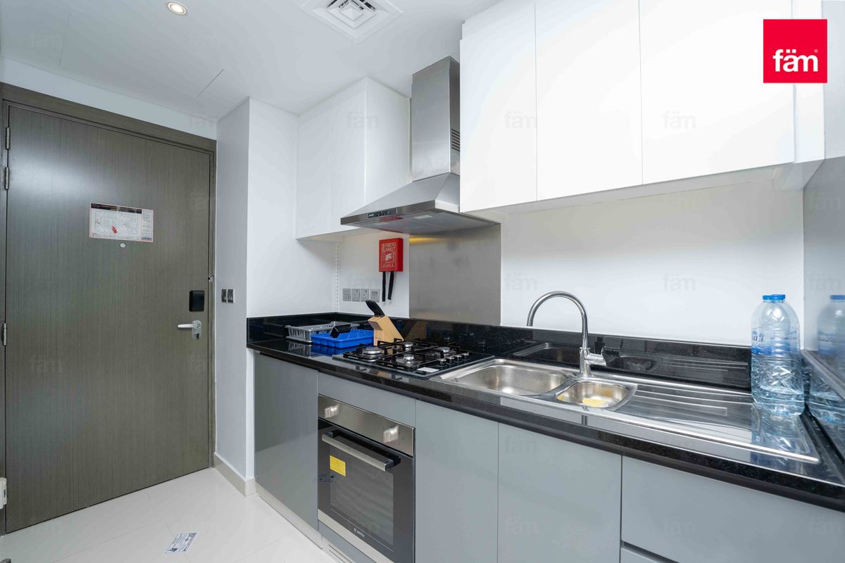 Fully furnished  | Canal View | Tower A | Vacant-10