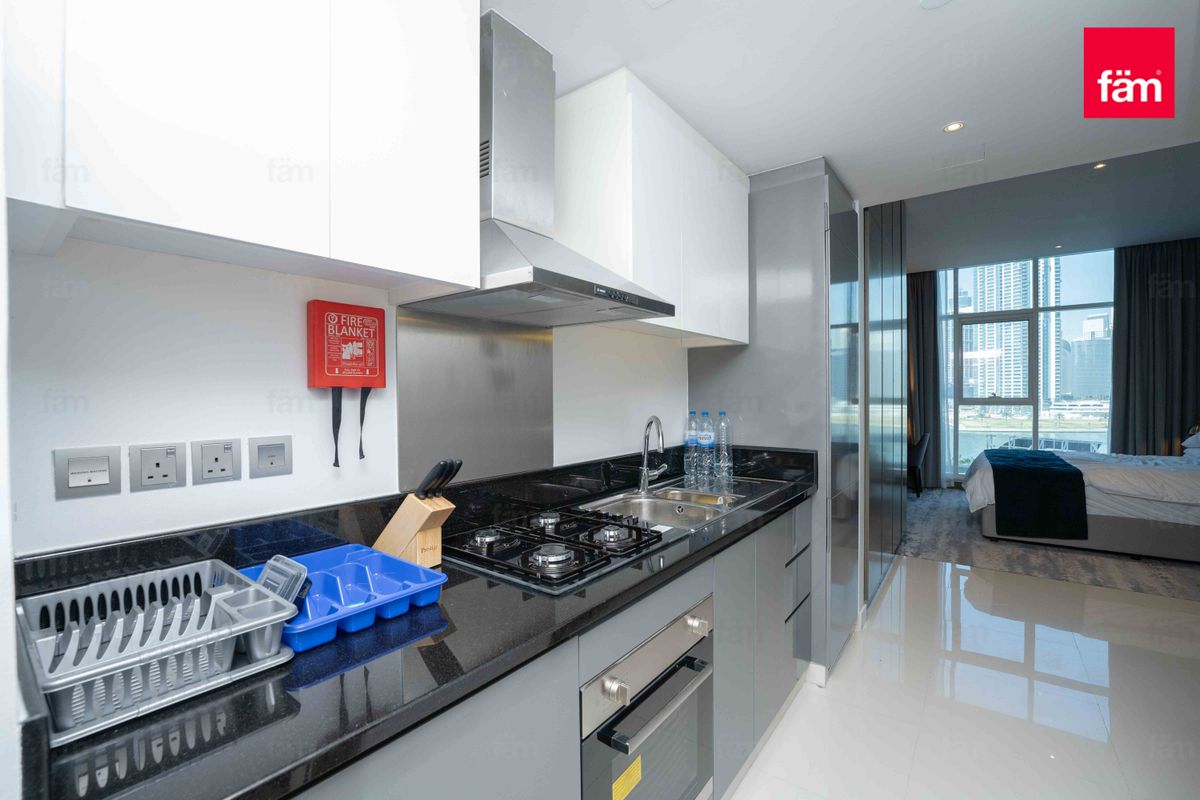 Fully furnished  | Canal View | Tower A | Vacant-9
