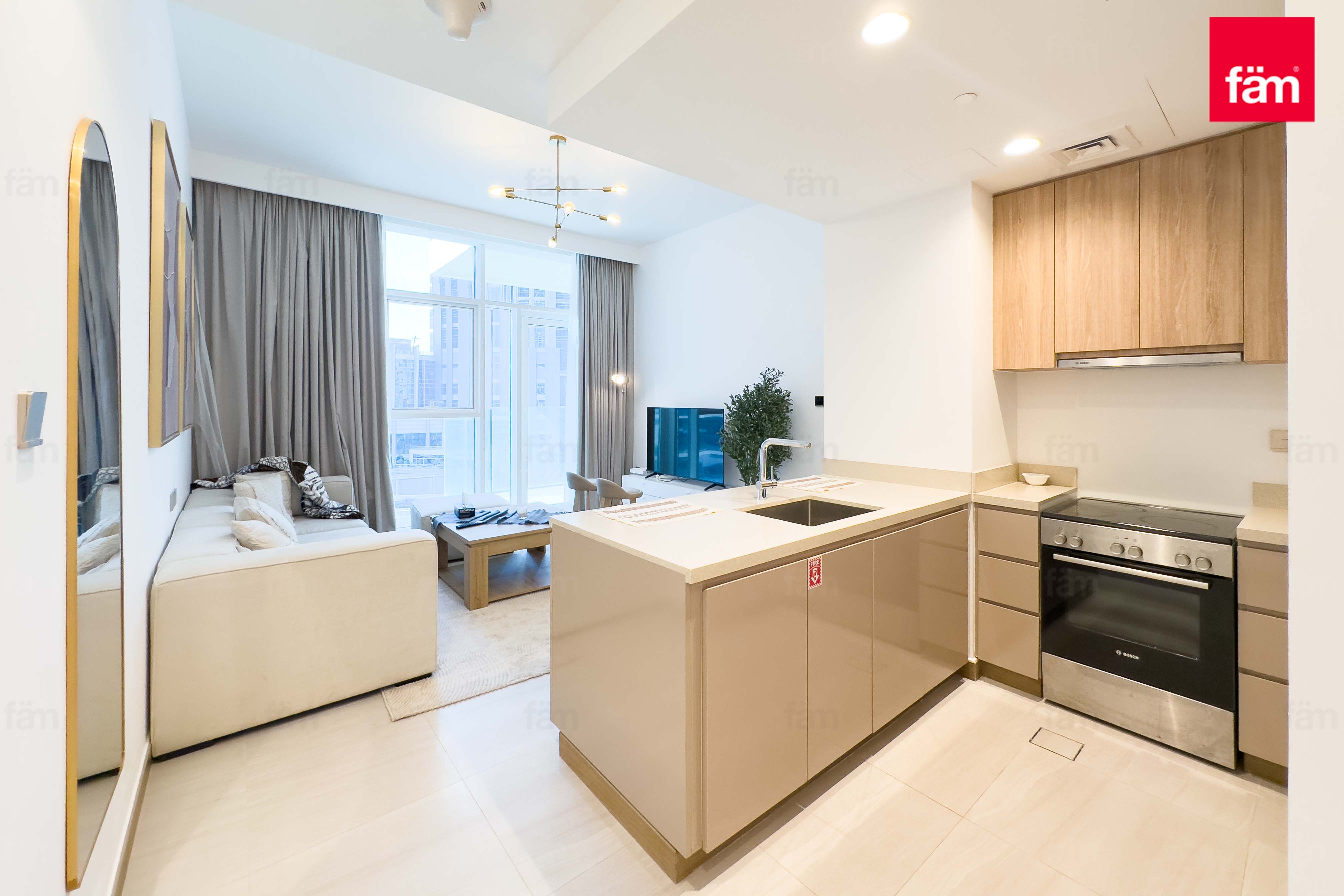 FULLY FURNISHED | SPACIOUS | TENANTED | HIGH ROI-13